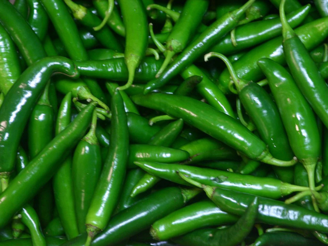 Export Fresh Green Chilli