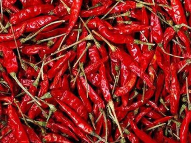 Export Fresh Green Chilli