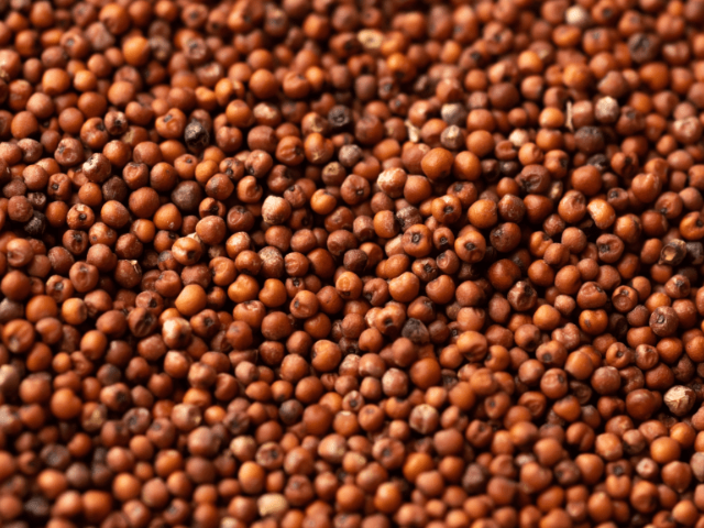 Ragi Millet