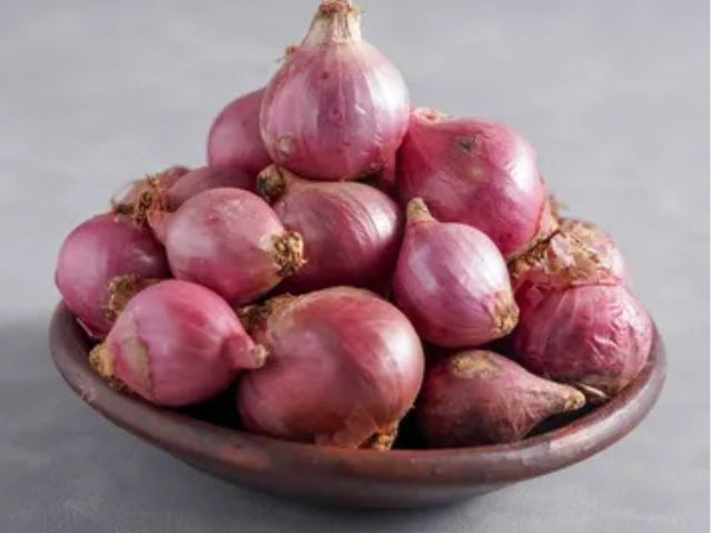 Export Fresh Shallot Onion